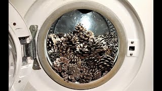 Experiment  Pine Cones  in a Washing Machine  Centrifuge [upl. by Ut929]