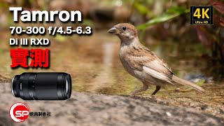 【攝影跌貨王】 Tamron 70300 f4563 Di III RXD 實測  廣東話 攝影 tamron 騰龍 [upl. by Nadabus463]