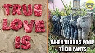 Anti Vegan Memes That Meat Lovers Can Relate To [upl. by Narud]