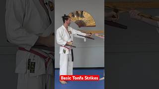 Basic Tonfa Jutsu Strikes tonfa kobudo okinawa weapons [upl. by Inatsed]