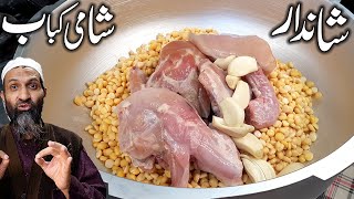 Shami Kabab Recipe By Recipetrier  Beef Shami kabab  Chicken Shami Kabab [upl. by Talyah]