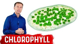 9 Proven Benefits of Chlorophyll [upl. by Feliza]