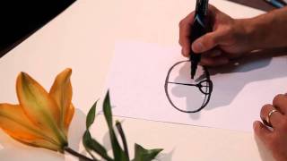 How to draw plants Foreshortening2 47 [upl. by Dorothea]