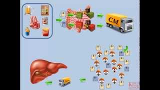 Lipids and Lipoproteins  Part 2 Exogenous Pathway [upl. by Jemma]