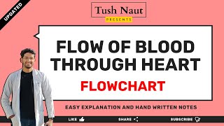 Flow of blood through Heart  Flowchart [upl. by Eniawtna]