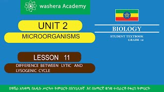 BIOLOGY GRADE 12 UNIT 2 LESSON 11 DIFFERENCE BETWEEN LYTIC AND LYSOGENIC CYCLE [upl. by Nanis]