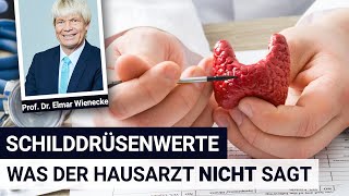 Schilddrüsenwerte was der Hausarzt NICHT sagt  Interview mit Prof Dr Wienecke [upl. by Anawat]