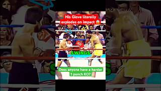 Bully Boxer gets exposed 👀 boxing [upl. by Annaej]