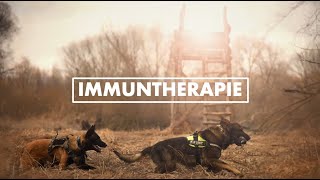 Krebstherapie Immuntherapie [upl. by Adnarb124]