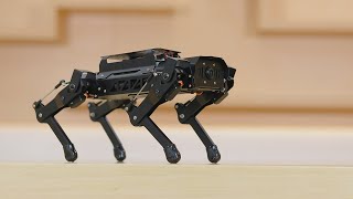 Hiwonder PuppyPi Quadruped Robot with AI Vision Powered by Raspberry Pi ROS Open Source Robot Dog [upl. by Naujled]