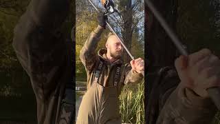 carpfishing carp procarp sportex climaxcult shimano ловлякоропа карпфішинг [upl. by Lethia]