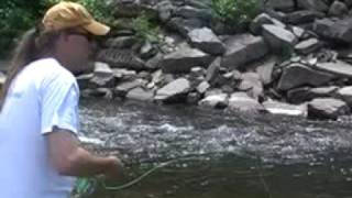 Fly fishing and fly casting on Beaverkill Catskills [upl. by Hastie458]