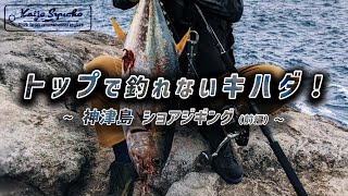 神津島のキハダマグロを撃投ジグで攻略する。 [upl. by Ikairik]