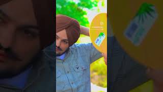 Sidhu bai nu like karo ❤️ punjabisong moosa sidhumoosewala music punjabisong [upl. by Aenahs]