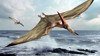 Sound Effects  Large Pterosaurs [upl. by Danielle909]