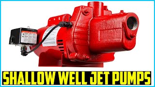 Top 5 Best Shallow Well Jet Pumps in 2024– Reviews [upl. by Haerdna]