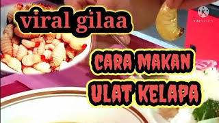 ULAT TERMAHAL DI SARAWAKULAT KELAPAMATAL INYAKNYIUR [upl. by Faith]