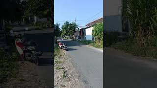 Dijual Tanah Pinggir Jalan Desa Temboro [upl. by Meuse]