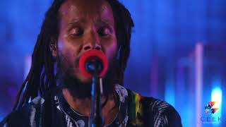 Ziggy Marley  Beach in Hawaii  2020 Live Stream [upl. by Nosam]