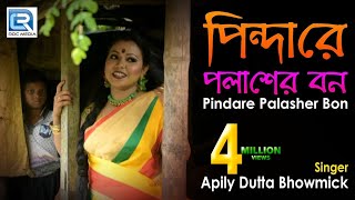 Pindare Polasher Bon  পিন্দারে পলাশের বন  Bengali Jhumur Dance Song  Apily Dutta Bhowmick [upl. by Gamages]