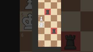 Crucial Endgame Trick avoid stalemate [upl. by Ellesirg]