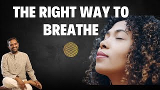 How to BREATHE Correctly breatheeasy breatheright wellness consciousnesscoach [upl. by Carrington798]