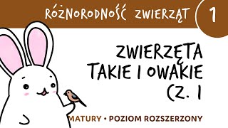 Różnorodność zwierząt 1  Zwierzęta takie i owakie cz1  matura z biologii rozszerzona [upl. by Jayme686]