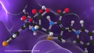 CEFTAZIDIME AVIBACTAM [upl. by Sawyor]