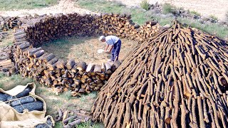 El CARBONERO Transformación de 10000 kg de leña en CARBÓN VEGETAL en la naturaleza  Documental [upl. by Axia184]