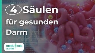 Darm stärken Diese 4 Aspekte beeinflussen deinen Darm 📚​ Dr Sandra Weber [upl. by Attolrac42]