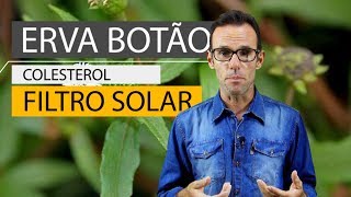 Erva Botão Colesterol e Filtro solar [upl. by Plank]