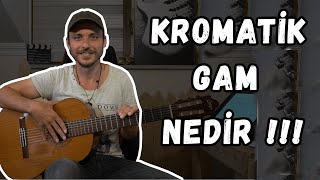 Gitar Dersi 17 ► Kromatik Kromatik Gam Nedir Kromatik Gam Egzersizi [upl. by Stanway]