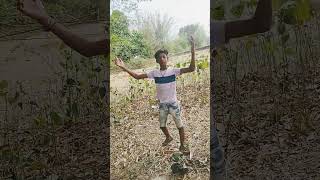 Maida Ka Tune Dekha Deewani by video Asha Sharma [upl. by Lib]