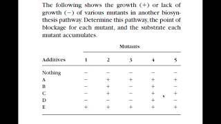 Biochem Pathway Analysis part 1 [upl. by Towrey]