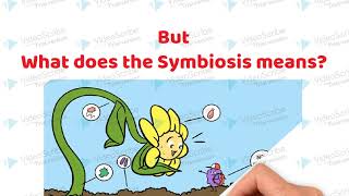 Symbiotic Association between the roots of Leguminous plants and Rhizobium bacteria [upl. by Adnuhsed]