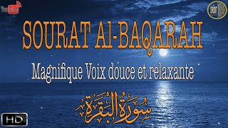 SOURATE EL BAQARA ROQYA MAISON Quelle belle Récitation 💚Magnifique Voix douce et relaxante 💚 [upl. by Bury]