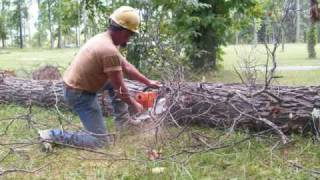 Stihl 650 Chainsaw [upl. by Tabbitha]