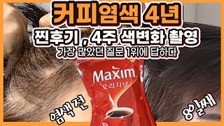 찐★후기 4주간 색상 기록 두피 건강 탈모예방 최근 커피염색방법 질문 1위는 이것 [upl. by Fosdick]