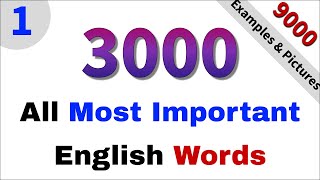 3000 Essential English Words with Pictures amp Sentences that are enough to travel the world part 1 [upl. by Shelia460]