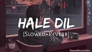 Hale Dil  Slowed amp Reverb  Mohit Chauhan  iamaadityamishra [upl. by Faro44]