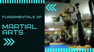 YawYan ArDigma Basic Calisthenics  Fundamentals of Martial Arts [upl. by Laehcim]