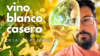 Cómo hacer VINO BLANCO casero Trucos sencillos [upl. by Ardnas]