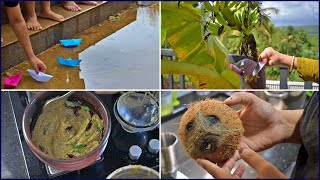 A Random Vlog in a week cooking traditional recipes  How to break a coconut shell easily [upl. by Eichman]