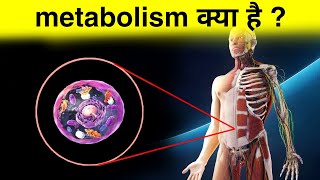 मेटाबोलिज्म क्या हैं   what is metabolism [upl. by Kwasi280]