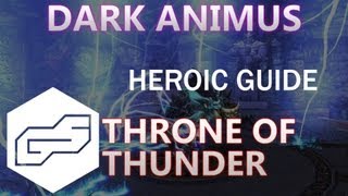 A Guide to Heroic Dark Animus VOX ToT [upl. by Demahum]