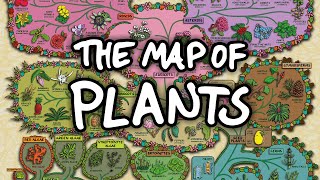 The Surprising Map of Plants [upl. by Eltsyrc]