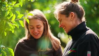 À la rencontre de la nouvelle génération de producteurs de Mirabelles de Lorraine [upl. by Adle]