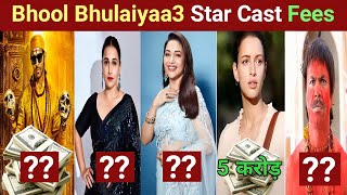 Bhool Bhulaiyaa 3 Star Cast Salary  Bhool Bhulaiyaa 3 Cast Fees amp Name  Bhool Bhulaiyaa 3 Budget [upl. by Meredi]