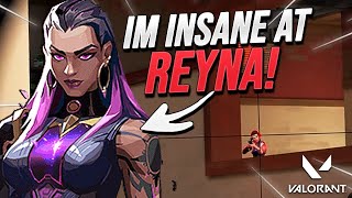 Reyna Valorant Outplays  The Ultimate Reyna  Insane Reyna [upl. by Rosaleen]