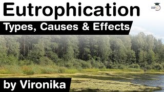 What is Eutrophication Types Causes and Effects of Eutrophication explained UPSC IAS [upl. by Kora]